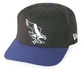 Minor League Baseball Cap - Missoula Osprey Home Cap by New Era