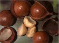 macadamia nut flavor powder