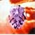 Sin After Sin [DVD]