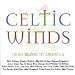 Celtic Winds: Irish Music in America