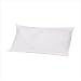 Natural 100% Buckwheat Pillow Image