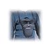 S-500 Chest Harness