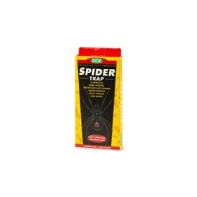 BioCare Spider Trap - 1 ea
