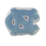 North Carolina Tar Heels Pillows - Plush School Initials