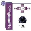 Developlus Satin Color #1BB Blue Black 3oz