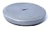 Sports : REEBOK Professional Fitness Equipment Air Stability Disc, silber