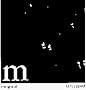 Ten Rapid (Collected Recordings 1996-1997)
