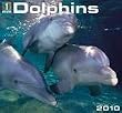 Dolphins 2010 Wall Calendar