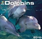 Dolphins 2010 Wall Calendar