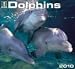 Dolphins 2010 Wall Calendar