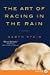 Books : The Art of Racing in the Rain (Large Print) [LP Edition]