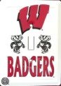 Wisconsin Light Switch Cover