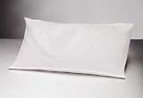 Natural 100% Buckwheat Pillow