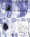 Books : Bataille's Eye & Ici Field Notes 4 (ICI Field Notes)