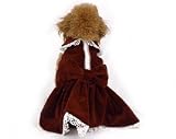 Emma Rose "Prancing in Velvet" Designer Dog Dress with Silk Lining (Burgundy, XSmall)