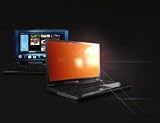 3M Gold Privacy Filter-3M PFG13.3W Widescreen Notebook privacy screen
