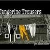 Image of album by Tangerine Trousers