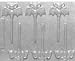Bat Pop Hard Candy Molds Image