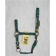 Hamilton Deluxe 1" Nylon Horse Halter with Adjustable Chin and Snap, Dark Green, Small/Cob (500-800 lbs)