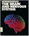 The Brain and Nervous System (How Our Bodies Work)