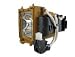 DS Miller Inc. Equivalent of PROJECTOR PART SP-LAMP-017 Projector Bulb