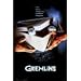 Gremlins ~ Movie Poster ~ Approx 22 X 34 Inches Image