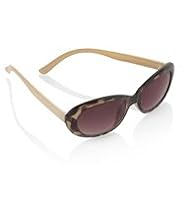 Animal Print Sunglasses