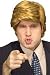 The Billionaire Wig