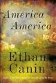 America America: A Novel