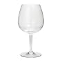 20 Oz. Unbreakable Tritan Plastic Red Wine Glass