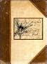 Lady Cottington's Pressed Fairy Book