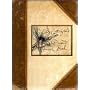 Lady Cottington's Pressed Fairy Book