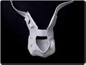 Core Suspensory