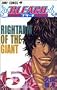 Bleach, Volume 5 (Japanese Edition)