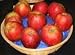 Red Gravenstein Apple Tree Five Gallon