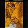 Tyger