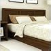Sonax Contemporary Queen Headboard in Urban Maple