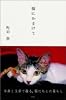 猫にかまけて
