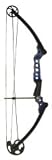 AMS Fish Hawk BowFishing Bow LH Moth Wing Camo