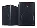 ION Audio iSP03 DJ Speakers Pair