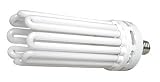 Hydrofarm FLC200D 200W Compact Fluorescent Bulb - Daylight