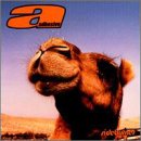 Adhesive - Sideburner - Zortam Music