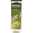 Dunlop Tennis Grand Prix Hard Court Tennis Ball - Can