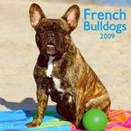 French Bulldogs 2009 Wall Calendar