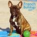   - French Bulldogs 2009 Wall Calendar