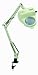 Clamp on Magnifier Swing Arm Desk Lamp