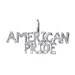 Sterling Silver American Pride Charm