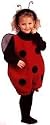Toddler 2-4T - Little Lady Bug Costume - NEW DESIGN - Different than picture, please see details. (Undershirt and Tights not included, due to safetly concerns there is NO WIRE in the wings)