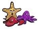 VIP Products Tuffy's Ultimate Sea Creature Starfish Dog Toy