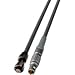 Lemo 4-Pin to AJA Type Micro-Con-X 2-Pin Power Cable - 1-Foot